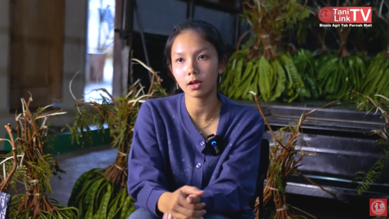 Kisah Sukses Ibu Muda Jualan Petai via Live Streaming, Sehari Kirim 1.000 Paket