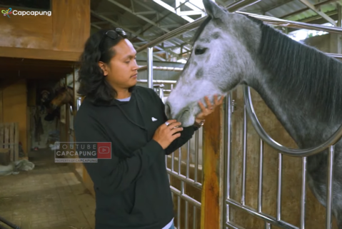 Cuan Fantastis dari Peternakan Kuda, Pebisnis ini Raup Puluhan Juta per Ekor