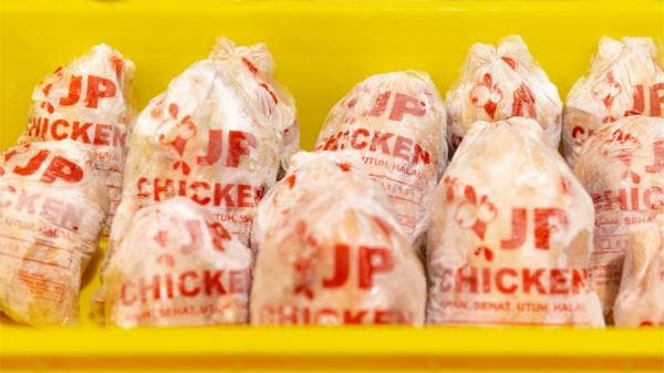 Janu Putra (AYAM) Bidik Pendapatan Rp450 Miliar di 2024