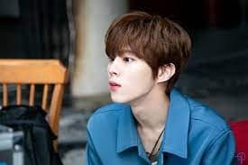 Intip Kekayaan Kim Woo Seok, Member UP10TION yang Bintangi Drama Night Has Come  