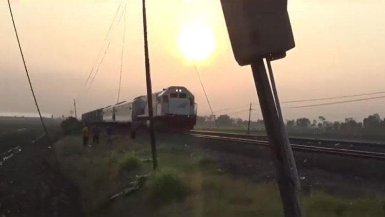 Kronologi Pemotor Tewas Tertabrak Kereta Api di Bandar Lampung, Nekat Terobos Palang Pintu