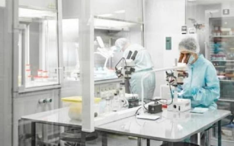Bikin Khawatir, Ahli Ungkap Fakta Hantavirus Tak Terlalu Berisiko di Area Terbuka