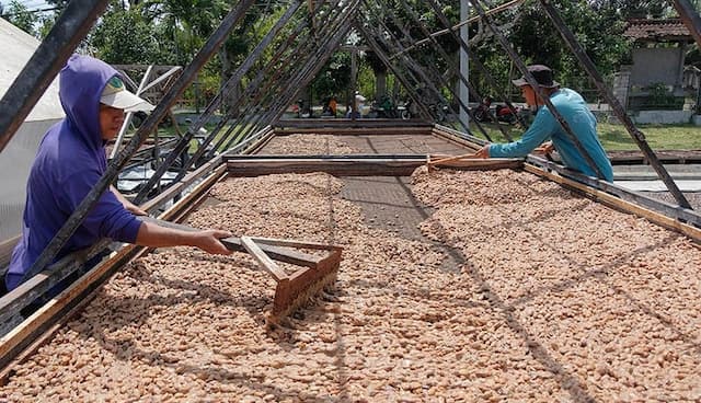 Prabowo Segera Teken Perjanjian Tarif Dagang Trump, Begini Tren Ekspor 3 Komoditas Unggulan RI