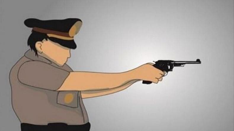 Identitas Oknum Polisi Tembak Warga Sipil di Jayapura, Brigpol LR Anggota Polda Papua
