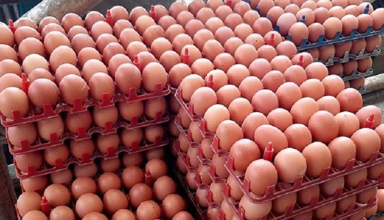 Harga Bawang Putih hingga Telur Ayam Turun Hari Ini, Cek Rinciannya!