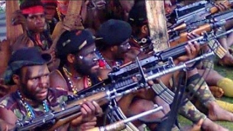 Identitas 2 Anggota KKB Yahukimo Ditangkap Satgas Damai Cartenz, Ini Rekam Jejaknya