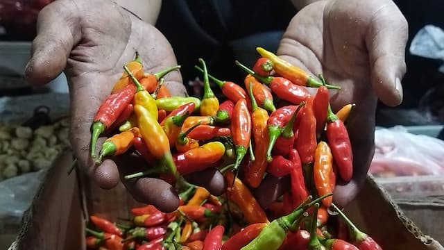 Harga Cabai Makin Pedas, Rawit Merah Sentuh Rp80.450 per Kg