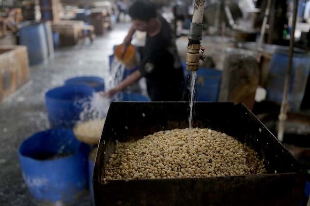 Harga Kedelai Terus Naik, Bapanas Peringatkan Distributor-Importir Patuhi Harga Acuan Pemerintah