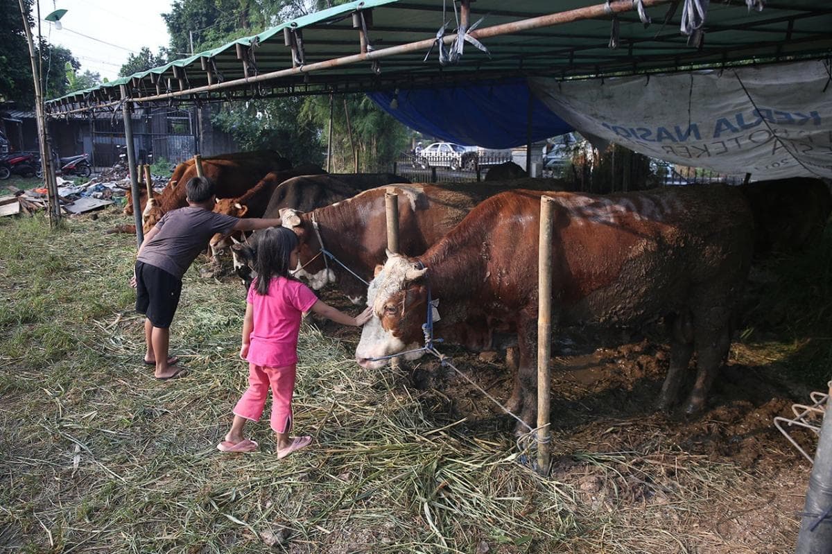 Jelang Iduladha, Pedagang di Jaksel Dilarang Jual Hewan Kurban di Trotoar