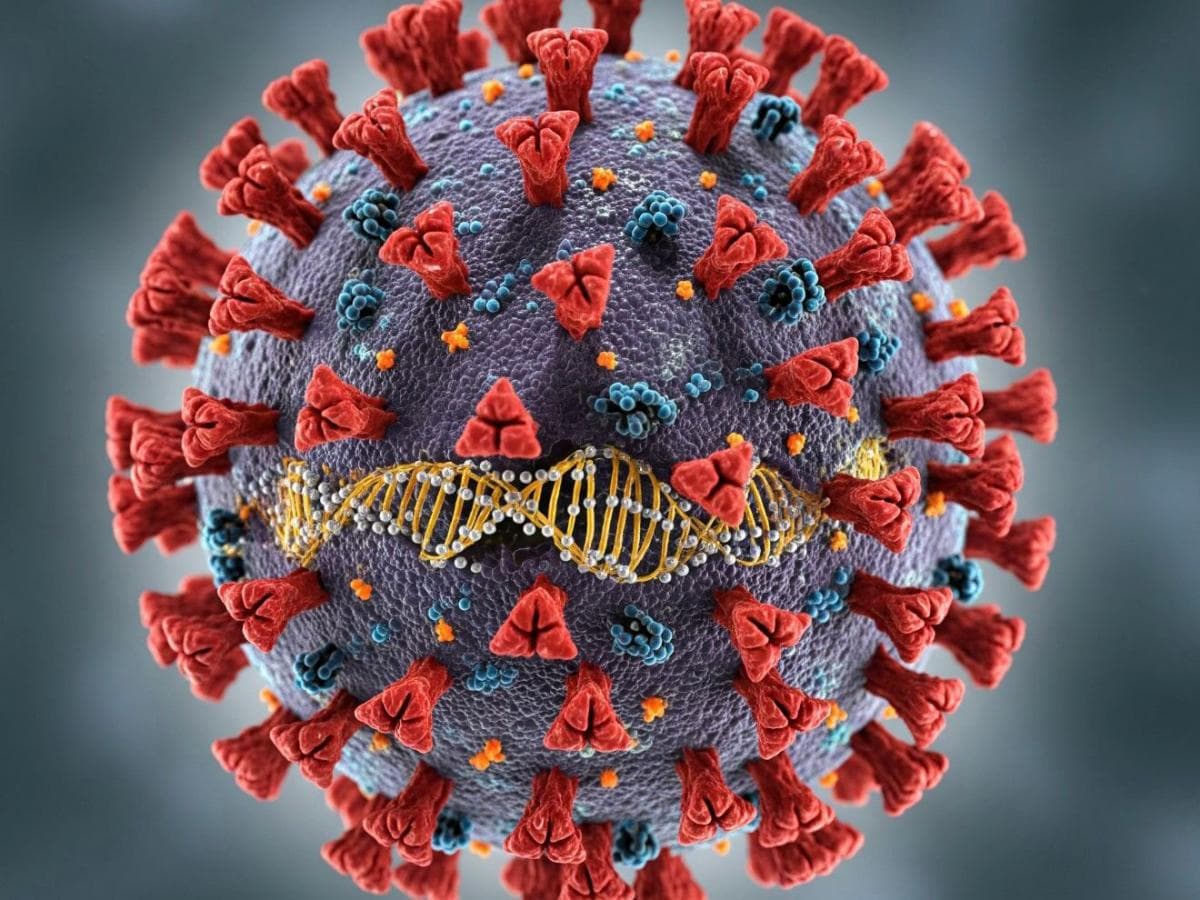 Apakah Covid-19 Varian Cicada Mematikan? Cek Faktanya di Sini!