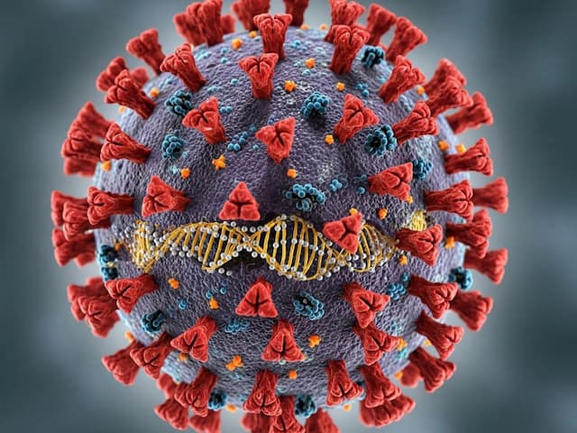 Apakah Covid-19 Varian Cicada Mematikan? Cek Faktanya di Sini!