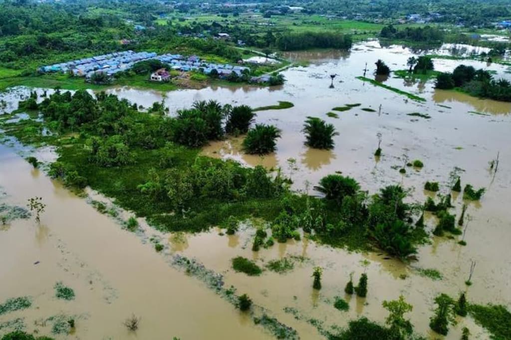 Banjir Landa Donggala hingga Sorong Papua Barat, BNPB Minta Warga Tetap Waspada