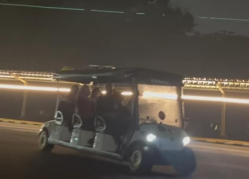 Taman Margasatwa Ragunan Siap Tambah Jadwal Night at the Zoo Mulai Pekan Depan