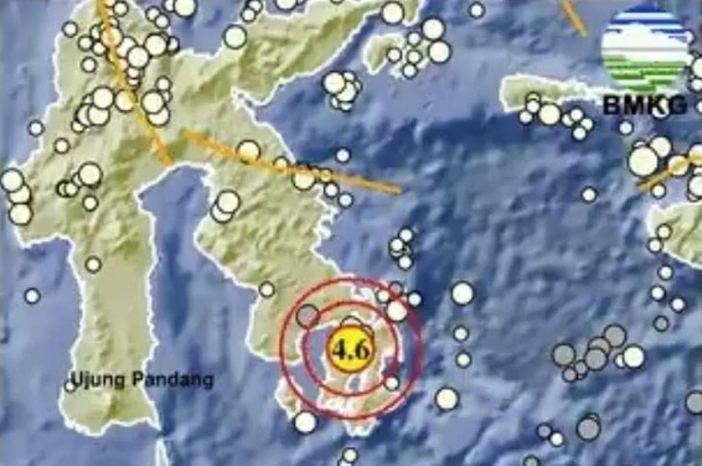 Gempa Magnitudo 4,6 Guncang Muna Barat, BMKG Ungkap Dipicu Aktivitas Sesar Aktif