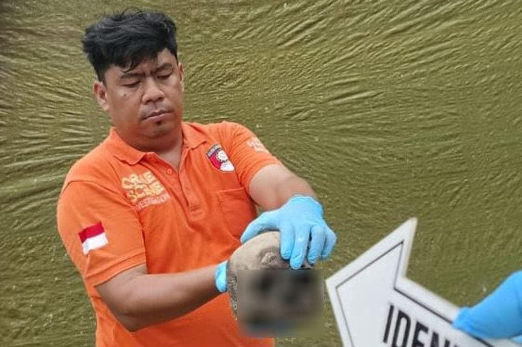 Heboh! Tengkorak Manusia Ditemukan di Area Pembangunan Puskesmas Aceh Selatan