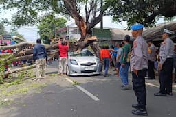 Pohon Tumbang Timpa Mobil di Rempoa Tangsel, 2 Orang Luka-Luka