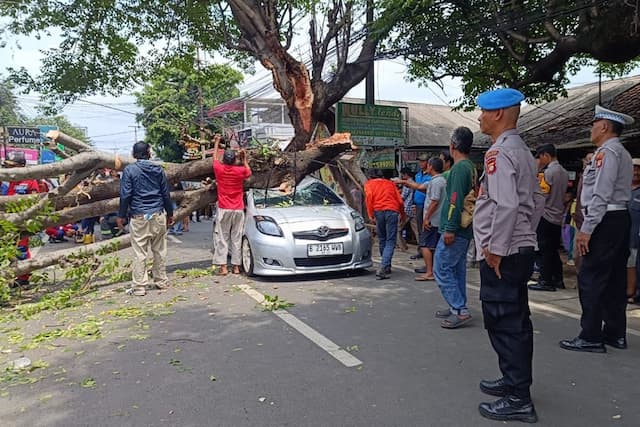 Pohon Tumbang Timpa Mobil di Rempoa Tangsel, 2 Orang Luka-Luka Pohon Tumbang Timpa Mobil di Rempoa Tangsel, 2 Orang Luka-Luka