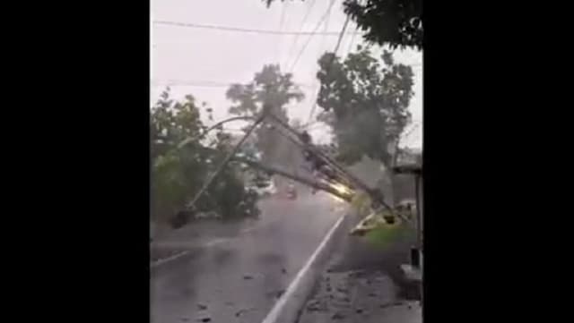Mencekam! Puting Beliung Terjang Bondowoso Terekam Kamera Warga, Rumah Rusak Pohon Tumbang