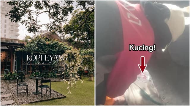 Kronologi Lengkap Kopi Eyang Bungkus Kucing dalam Karung dan Buang ke Tong Sampah, Endingnya Minta Maaf!