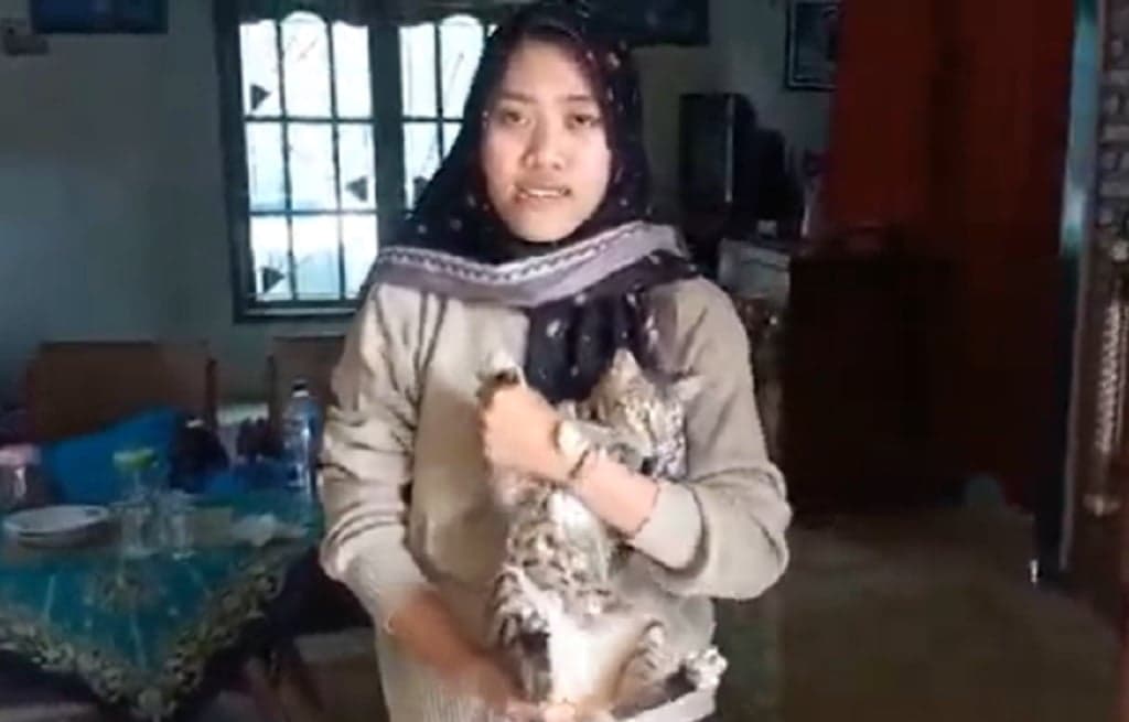 Ditawari Kucing Persia, Pemilik Kucing yang Ditendang di Blora Tolak Ajakan Damai Pelaku