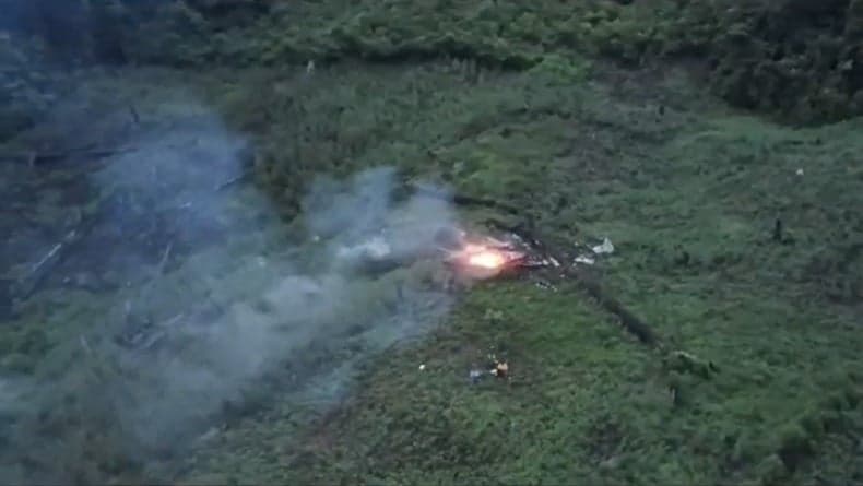 112 Hektare Ladang Ganja di Gayo Lues Dibabat Habis, 56 Orang Ditangkap