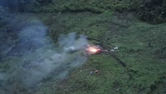 112 Hektare Ladang Ganja di Gayo Lues Dibabat Habis, 56 Orang Ditangkap