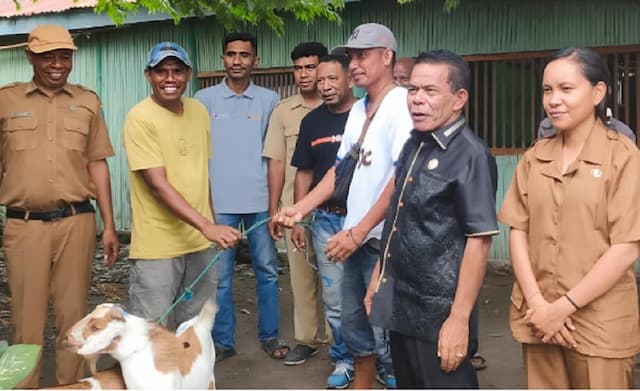 Atasi Kemiskinan, Politisi Perindo Berdayakan Warga Nagekeo dengan Bantuan Kambing