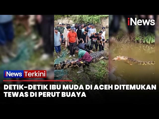 Detik-Detik Ibu Muda Pencari Kerang di Aceh Ditemukan Tewas dalam Perut Buaya