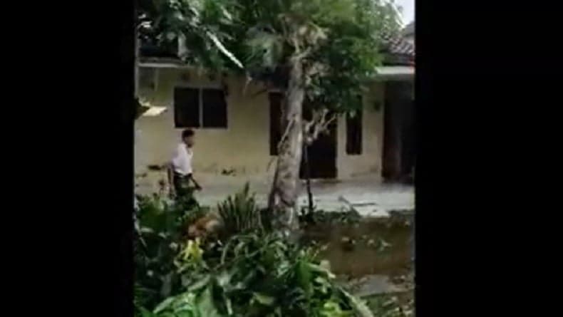 Puting Beliung Terjang 2 Desa di Jember, Ratusan Pohon Tumbang Puluhan Rumah Rusak