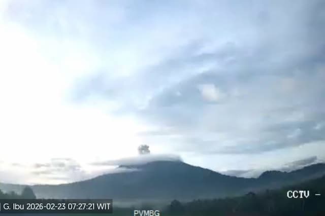 Gunung Ibu Erupsi Hari Ini, Semburkan Kolom Abu Setinggi 400 Meter