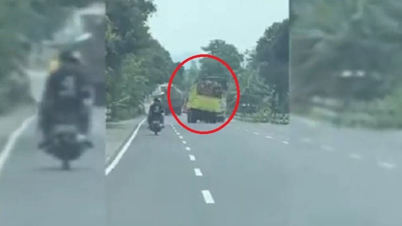 Viral! Truk Kayu Ugal-ugalan di Lumajang, Sopir Ditangkap Kendaraan Ditahan Polisi 30 Hari