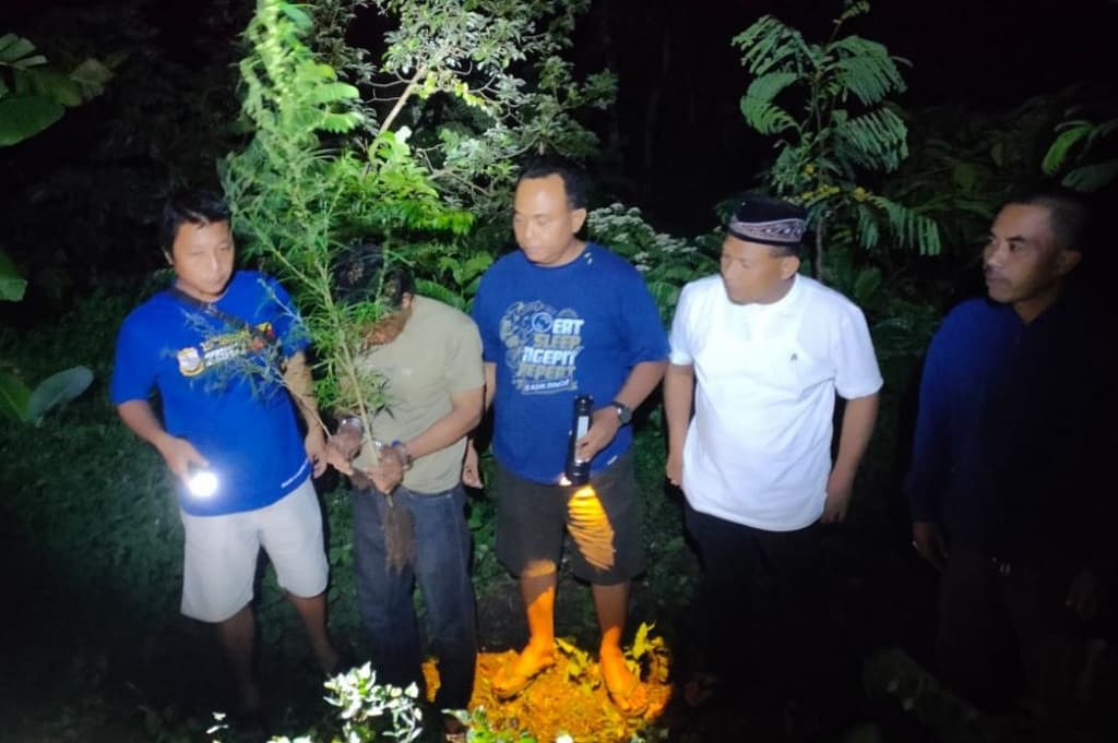 Ada-Ada Saja, 2 Pria di Kediri Tanam Ganja di Pot Rumah Berujung Masuk Penjara