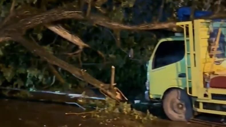 Puting Beliung Sapu 12 Kecamatan di Pasuruan, Puluhan Pohon Tumbang 15 Rumah Rusak