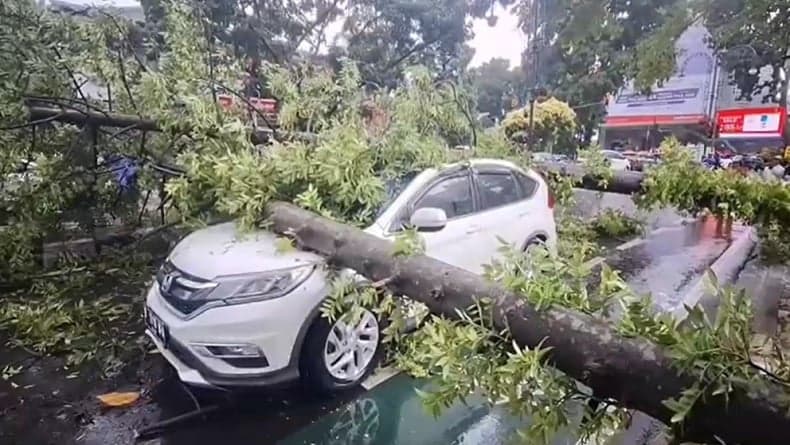 Hujan Angin di Bandung Tumbangkan Puluhan Pohon, Sejumlah Kendaraan Rusak Tertimpa