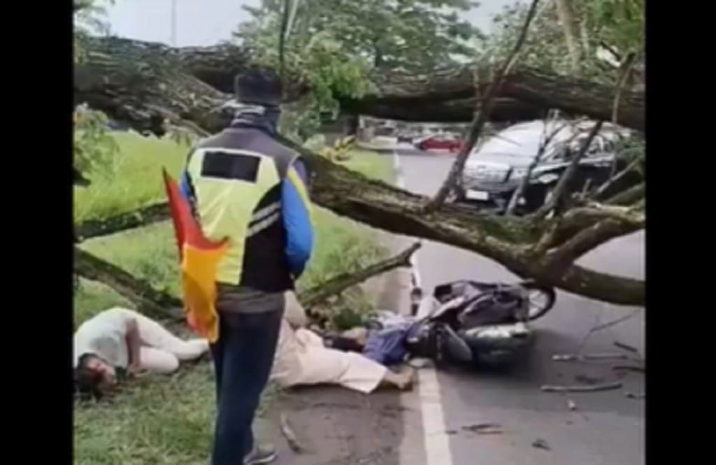 Satu Keluarga di Magetan Tertimpa Pohon Tumbang usai Beli Baju Lebaran, Anak Tewas