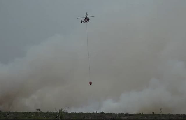 Karhutla di Riau Meluas, BNPB Catat 2.713 Hektare Ludes Terbakar