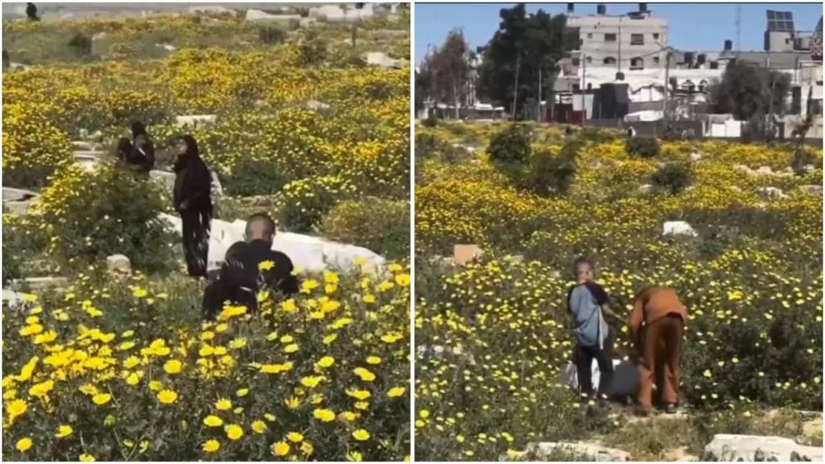 Viral Pemakaman di Gaza Jadi Taman Bunga, Ini Fotonya!