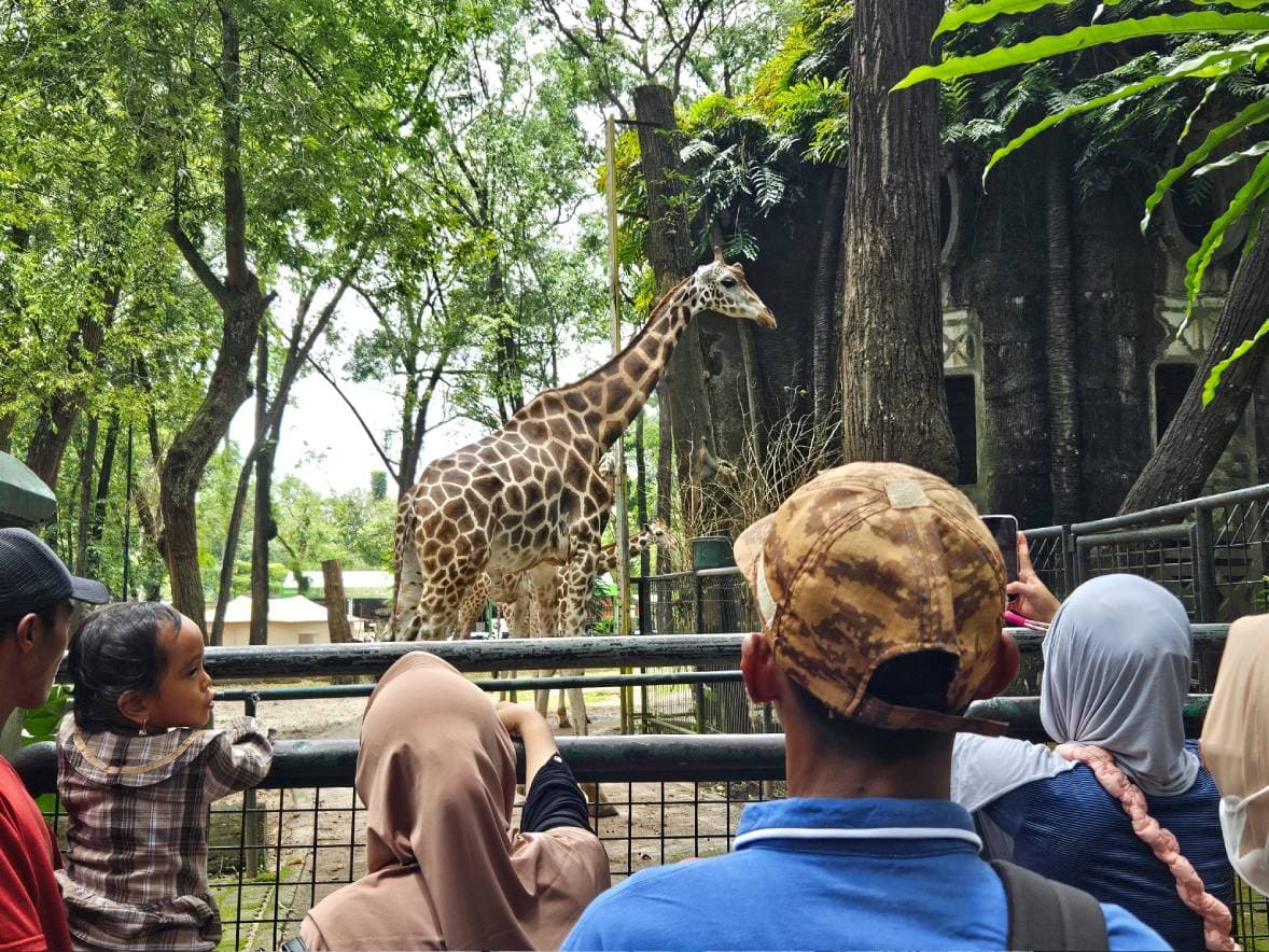 Ragunan Diserbu Wisatawan! Taman Margasatwa di Jaksel Ini Jadi Primadona Libur Lebaran 2026