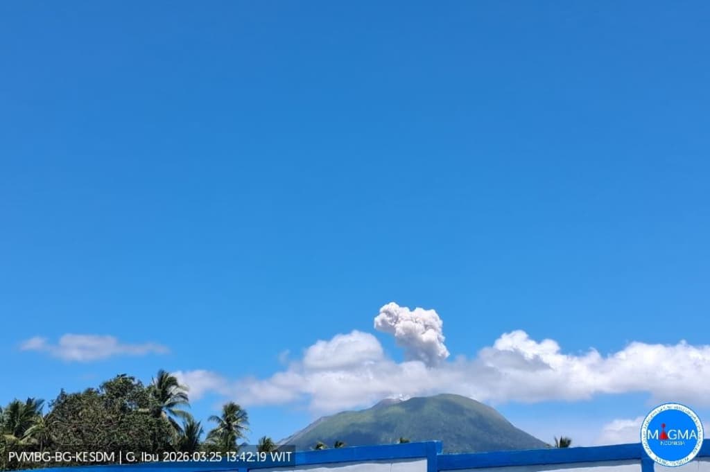 Gunung Ibu Erupsi Hari Ini , Semburkan Abu Vulkanis Setinggi 500 Meter