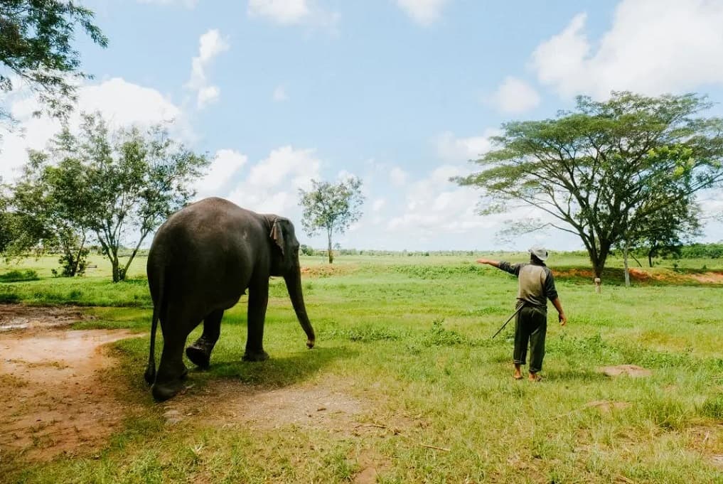 Menhut Ungkap Arahan Prabowo: Pagar TN Way Kambas 138 Km Ditargetkan Rampung Akhir 2026