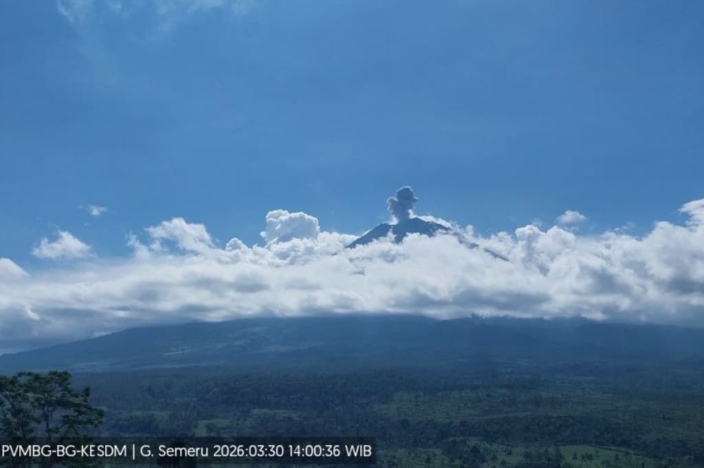Gunung Semeru Meletus Siang Ini, Kolom Abu Capai 700 Meter dari Puncak