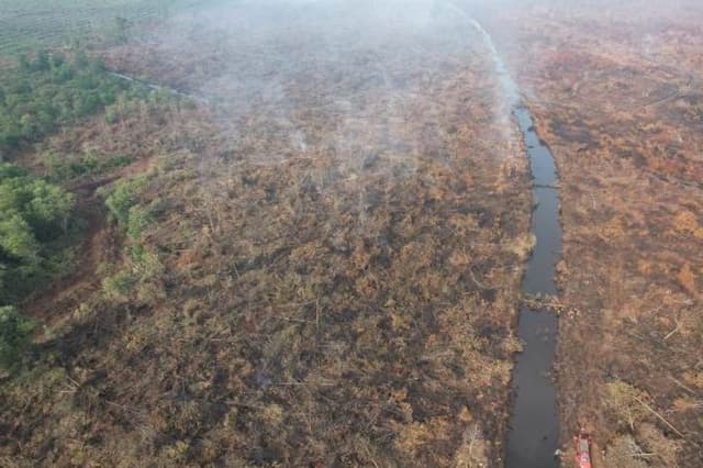 Karhutla Riau Meluas, 900 Hektare Lahan Terbakar