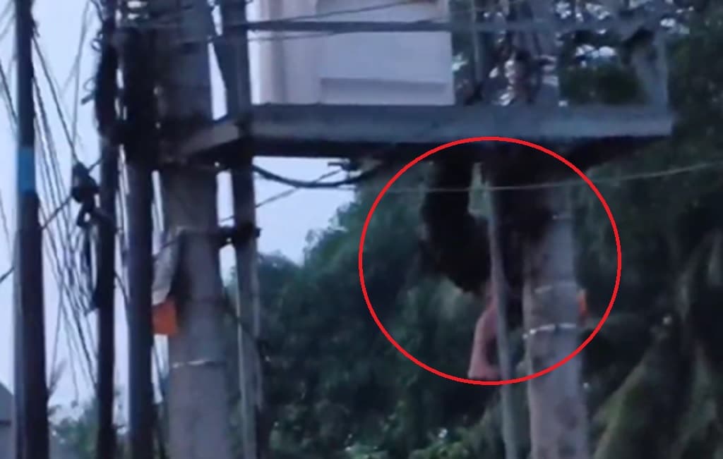 Viral Detik-Detik Pencuri Kabel di Jambi Gosong Terpanggang Listrik 20.000 Volt