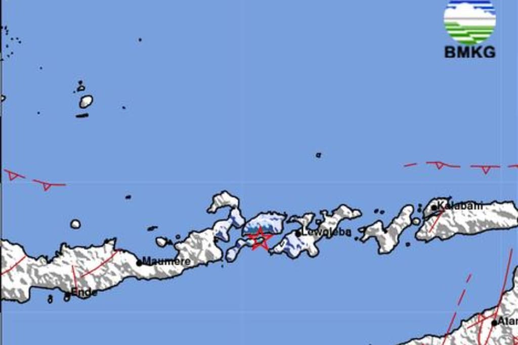Gempa Hari Ini Magnitudo 3,8 Guncang Larantuka Flores Timur, Terasa Cukup Kuat Gempa Hari Ini Magnitudo 3,8 Guncang Larantuka Flores Timur, Terasa Cukup Kuat