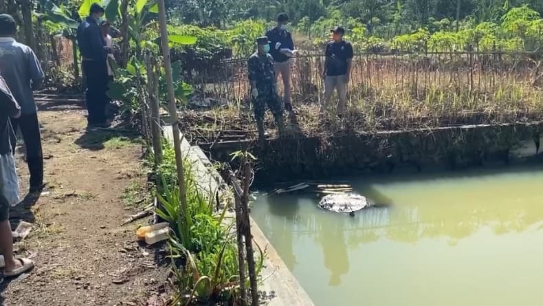 Cilacap Geger! Mayat Pria Ditemukan Mengapung di Kolam Ikan, Kondisi Membusuk