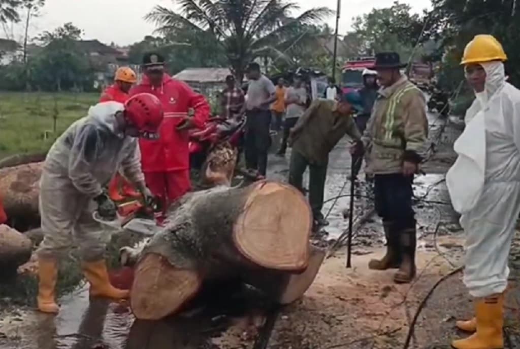 Hujan Badai Terjang Sukabumi, Jalur KA Sempat Lumpuh Tertutup Pohon Tumbang