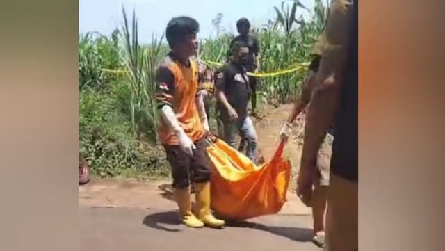 Geger! Mayat Pria Ditemukan Membusuk di Kebun Jagung Jombang