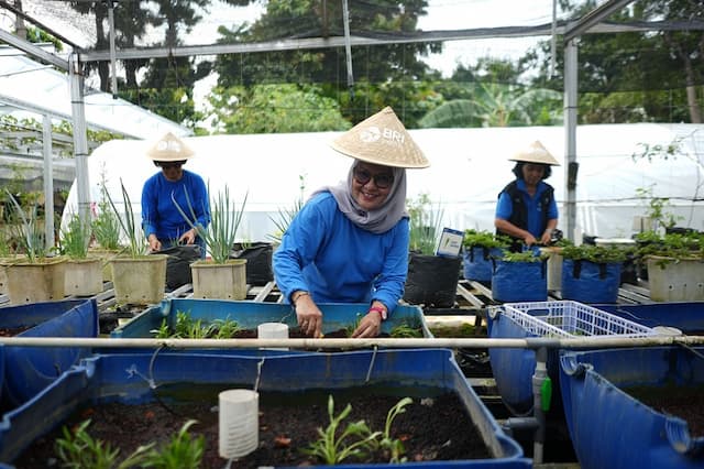 Dari Kartini untuk Bumi, BRI Berdayakan Perempuan lewat Urban Farming BRInita