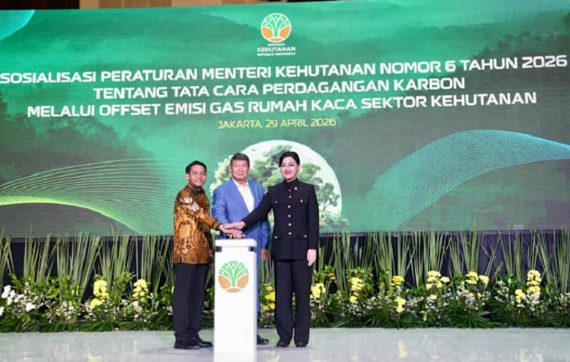 Hashim Tegaskan RI Serius Tekan Emisi Karbon, Diperkuat Lewat Regulasi 