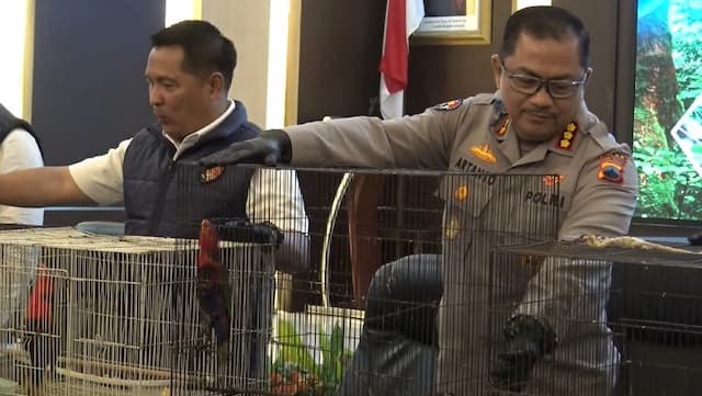 Terungkap Penyelundupan Burung Kasturi di Pati, Dijual Rp20-50 Juta per Ekor